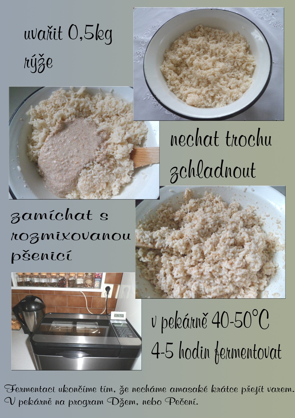 3) fermentace kopie